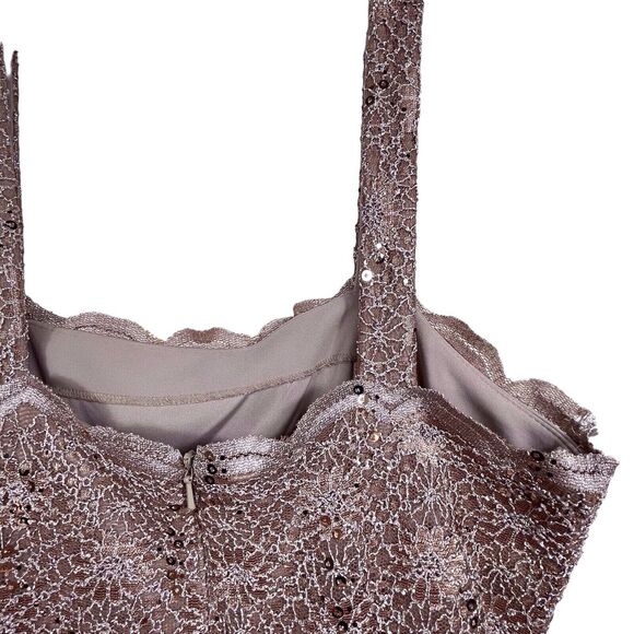 NWT Alex Evenings Formal Gown Size 6 Champagne Lace Sequin Bodice Long Dress - Picture 10 of 15